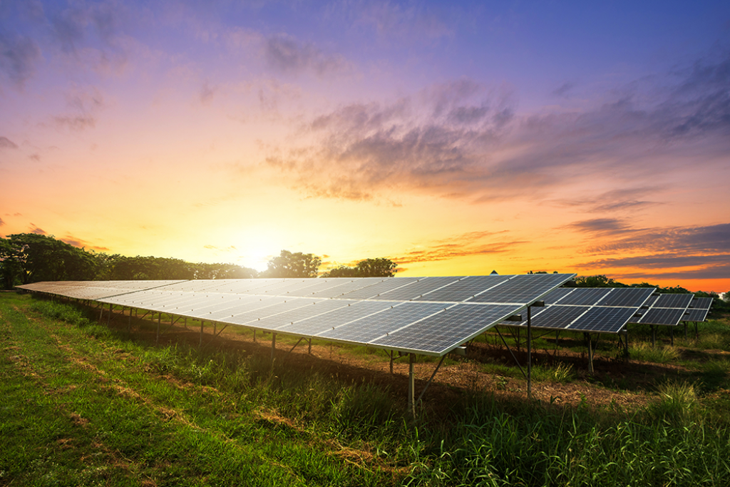 Agrivoltaic field